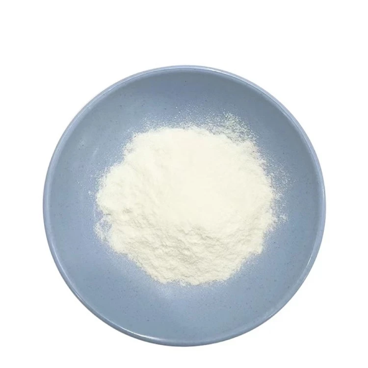 B 1 3 Glucan
